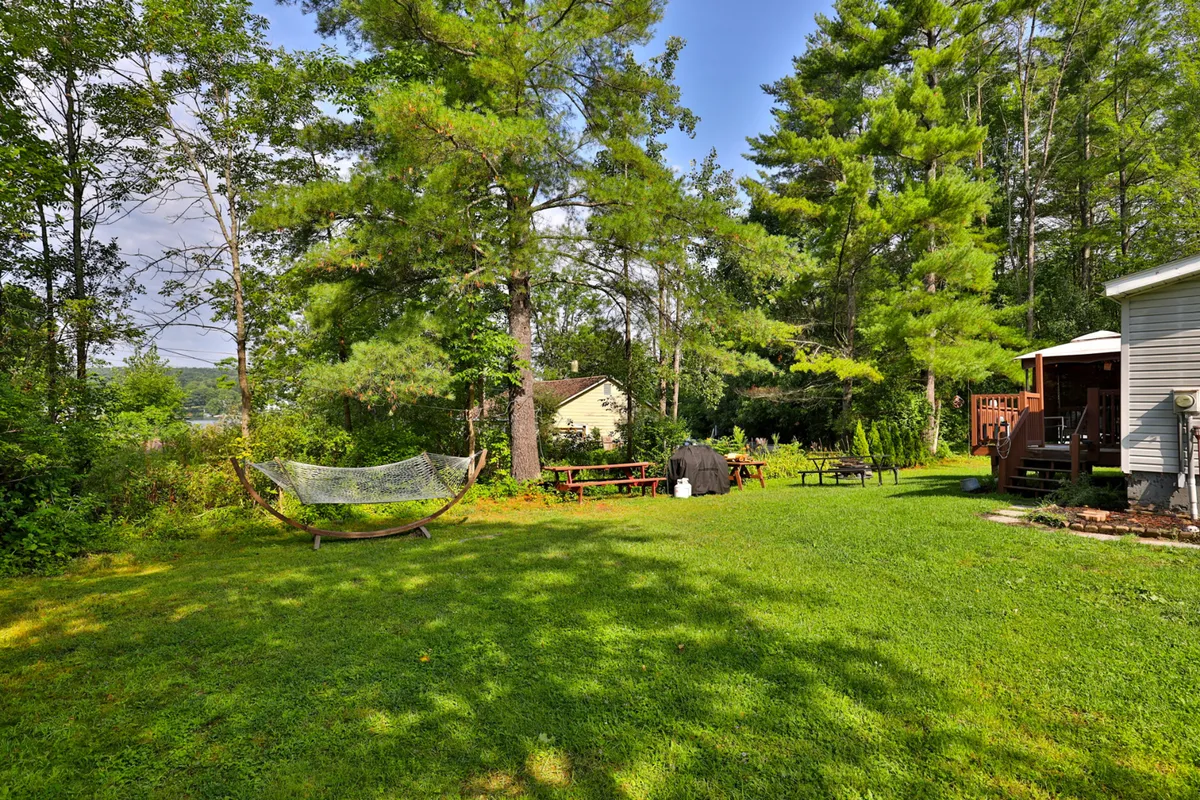 A tranquil backyard scene featuring a hammock strung between trees, picnic tables ready for outdoor dining, a BBQ grill, and the house in the background, all set amid lush greenery. The image evokes a sense of relaxation, social gatherings, and outdoor fun.